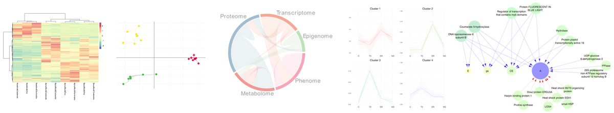 Plots generated when using
        pRocessomics